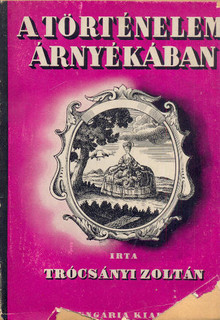 A történelem árnyékában